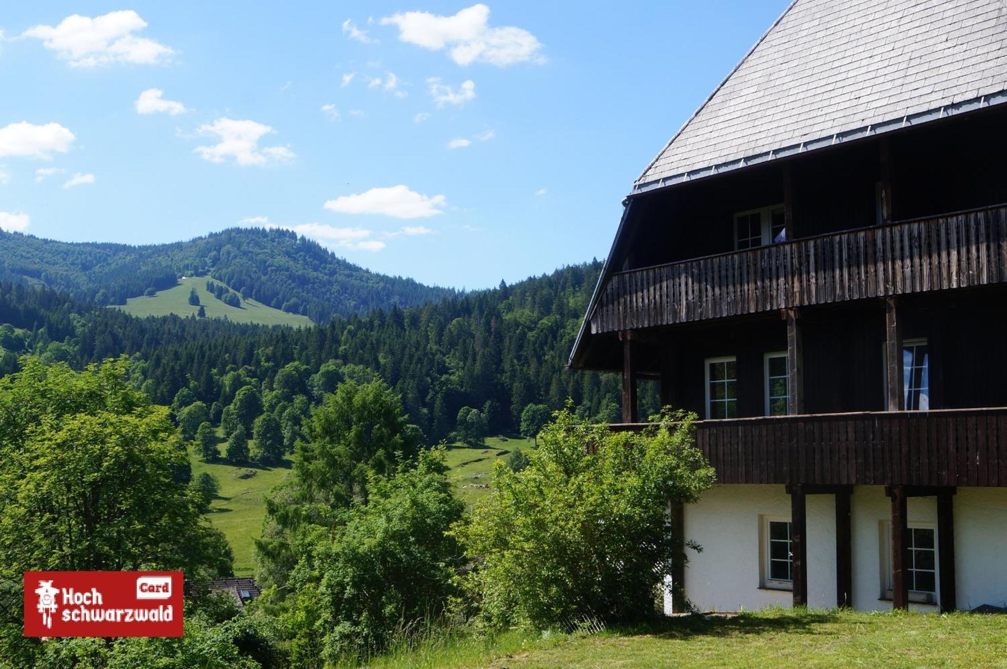 Familien- Und Sportappartements Wetzel * Menzenschwand-Hinterdorf
