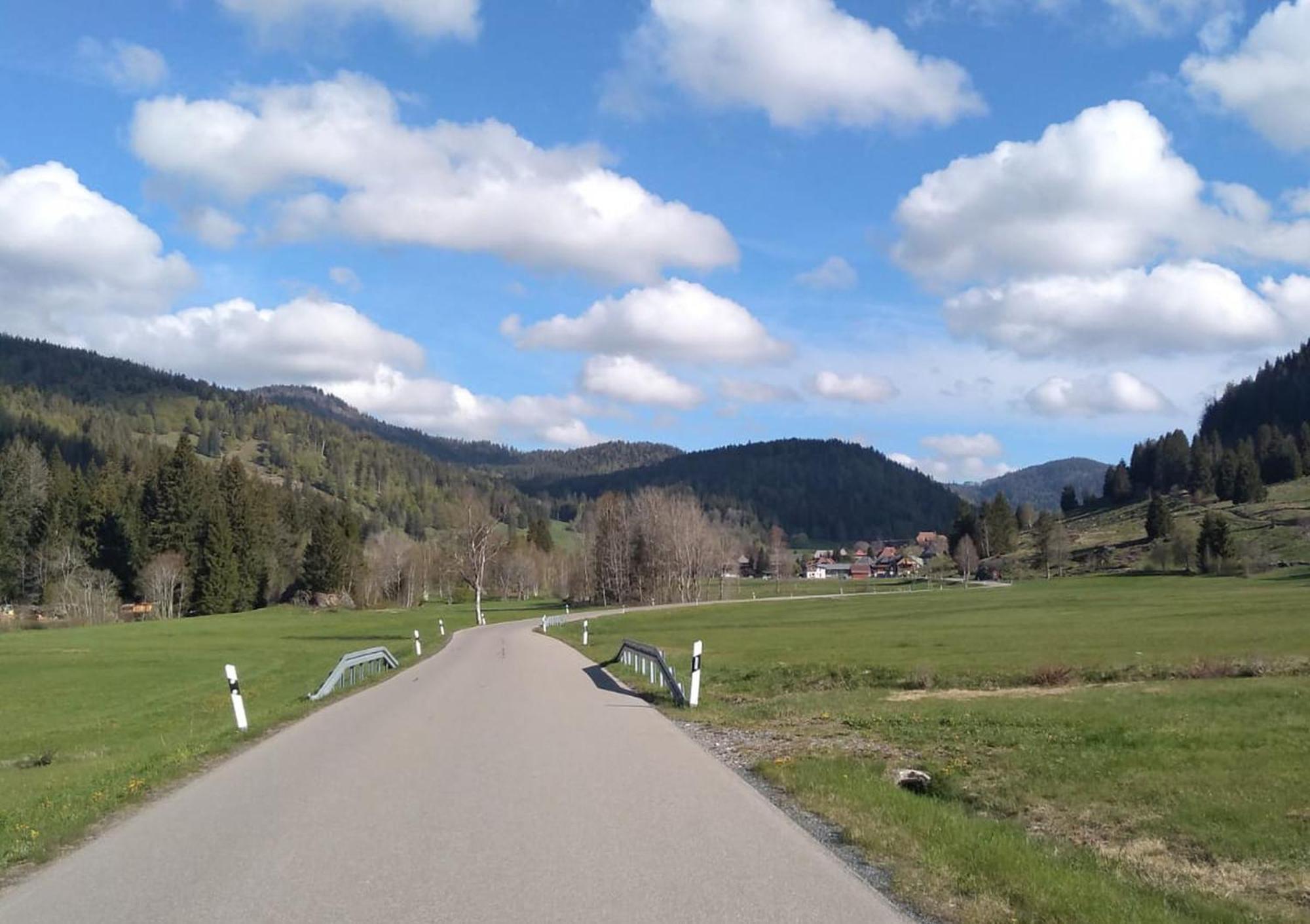 Familien- Und Sportappartements Wetzel Apartment Menzenschwand-Hinterdorf