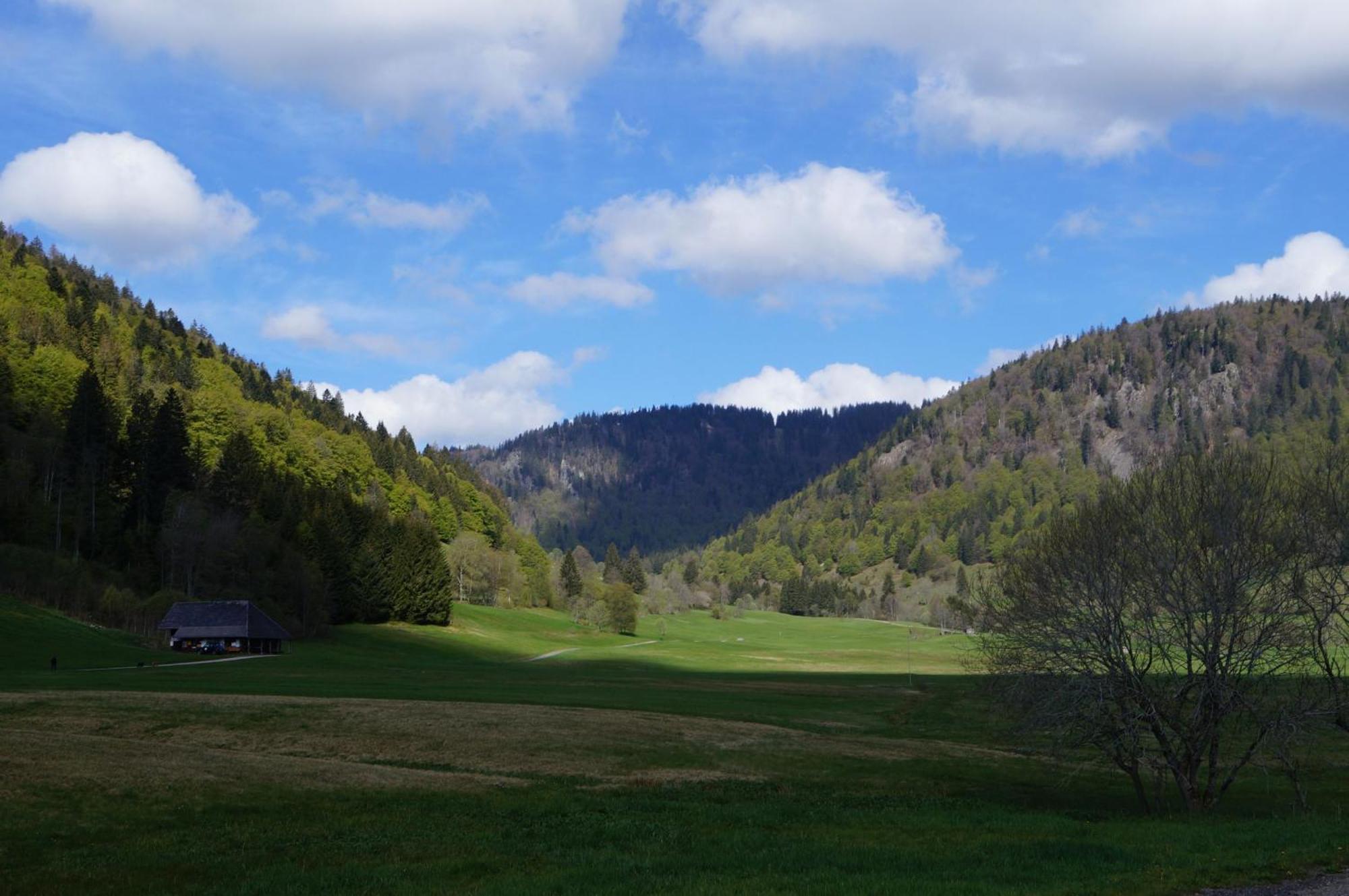 Apartment Familien- Und Sportappartements Wetzel Menzenschwand-Hinterdorf