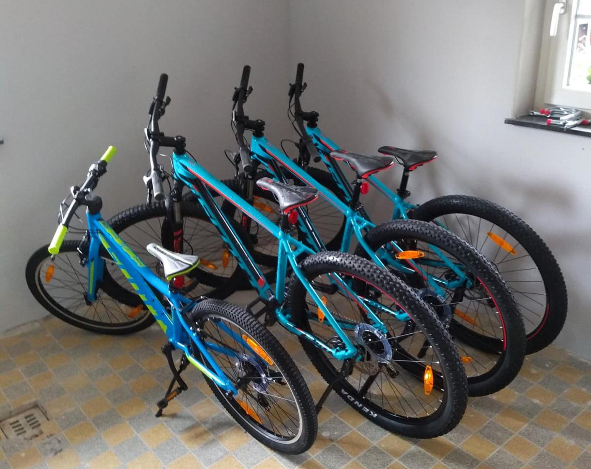 Familien- Und Sportappartements Wetzel Apartment *
