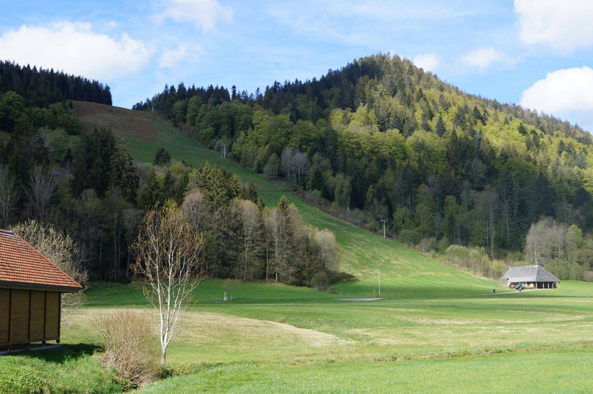 Familien- Und Sportappartements Wetzel * Menzenschwand-Hinterdorf