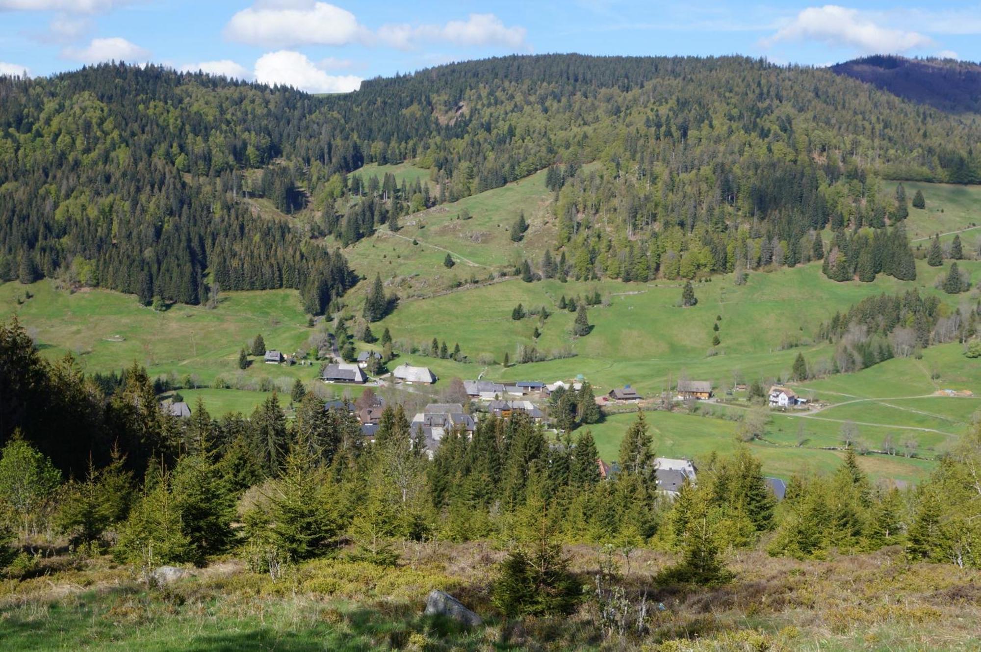 Familien- Und Sportappartements Wetzel