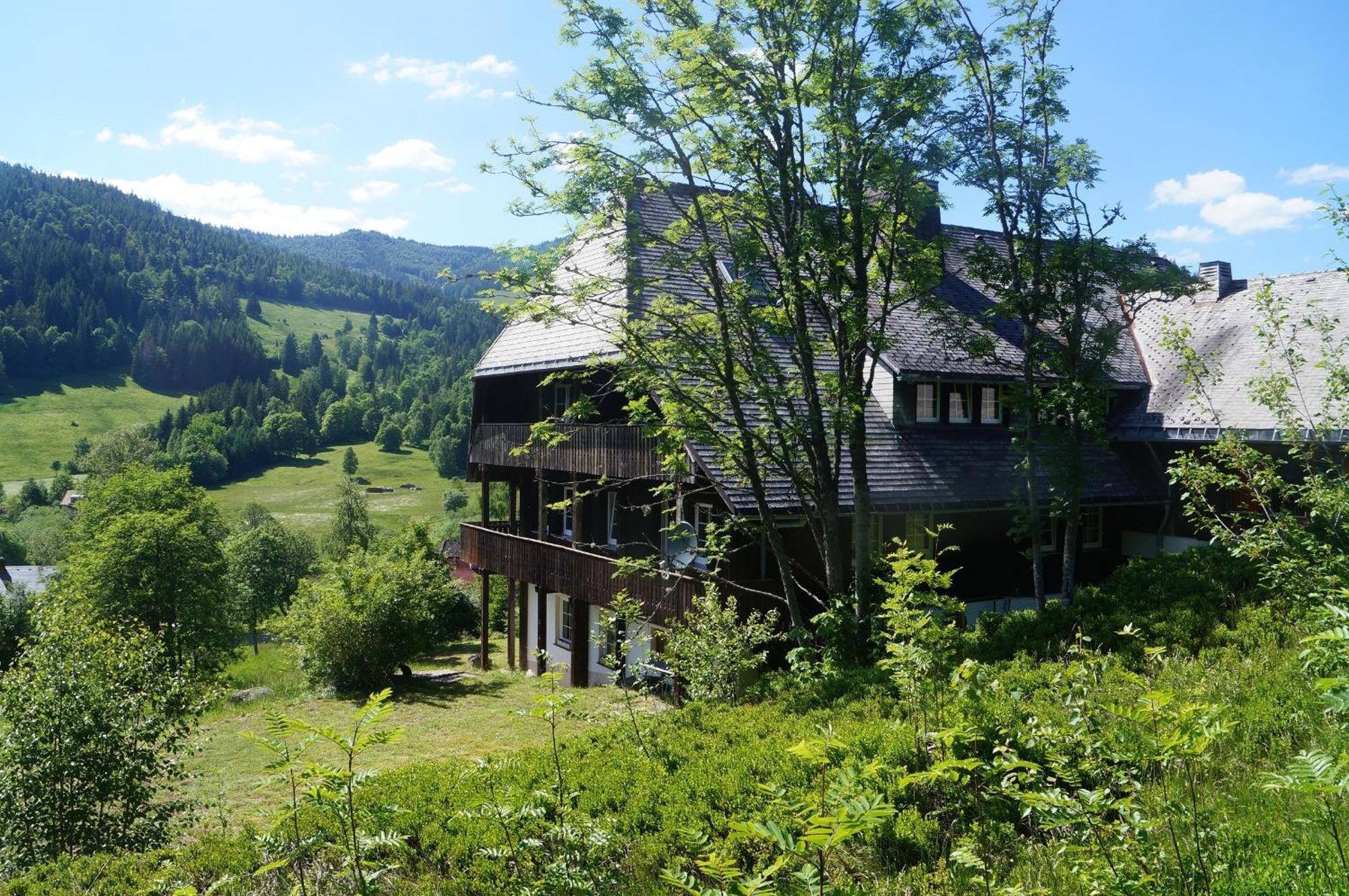 Familien- Und Sportappartements Wetzel Apartment Menzenschwand-Hinterdorf