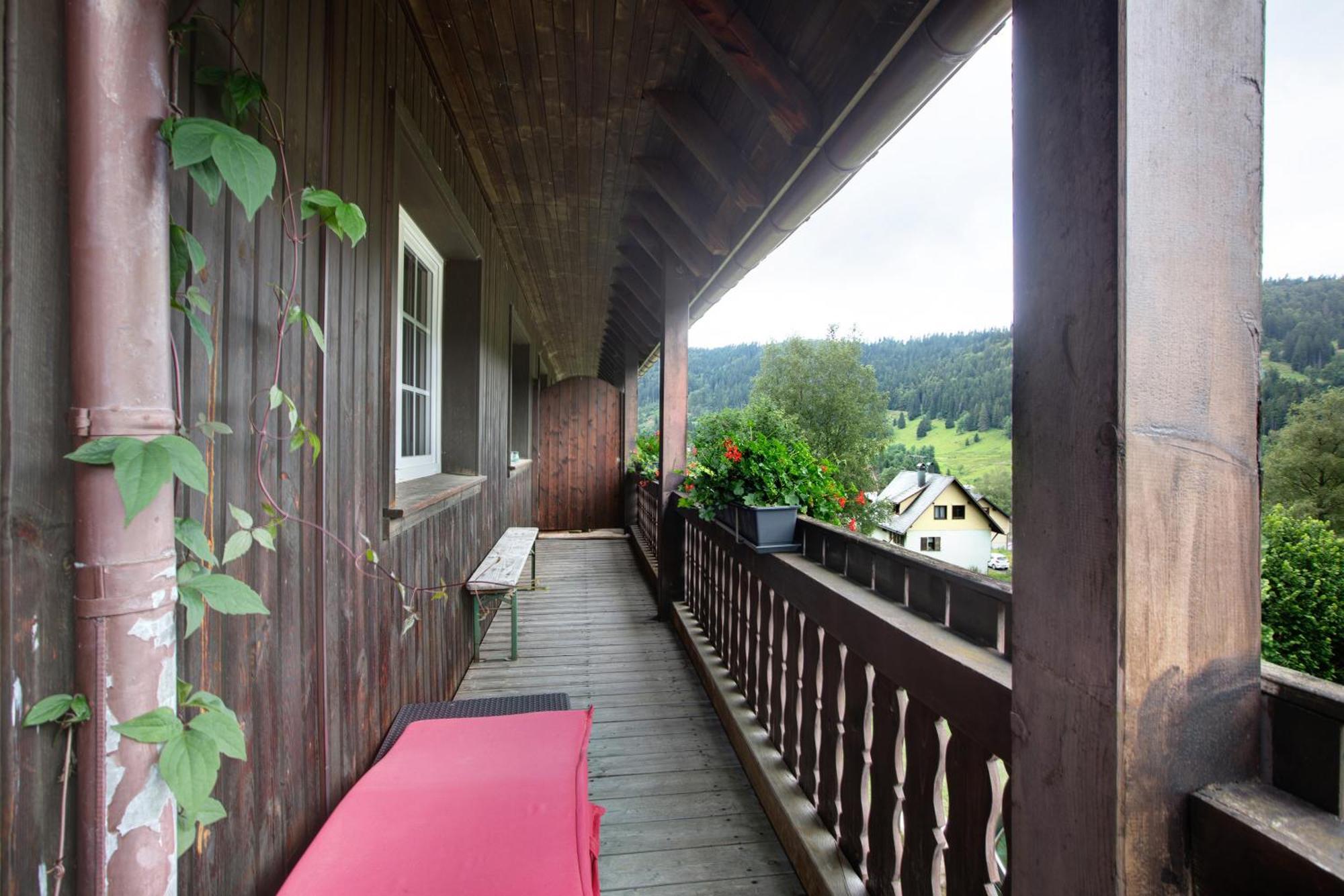Apartment Familien-sportappartements Wetzel Menzenschwand