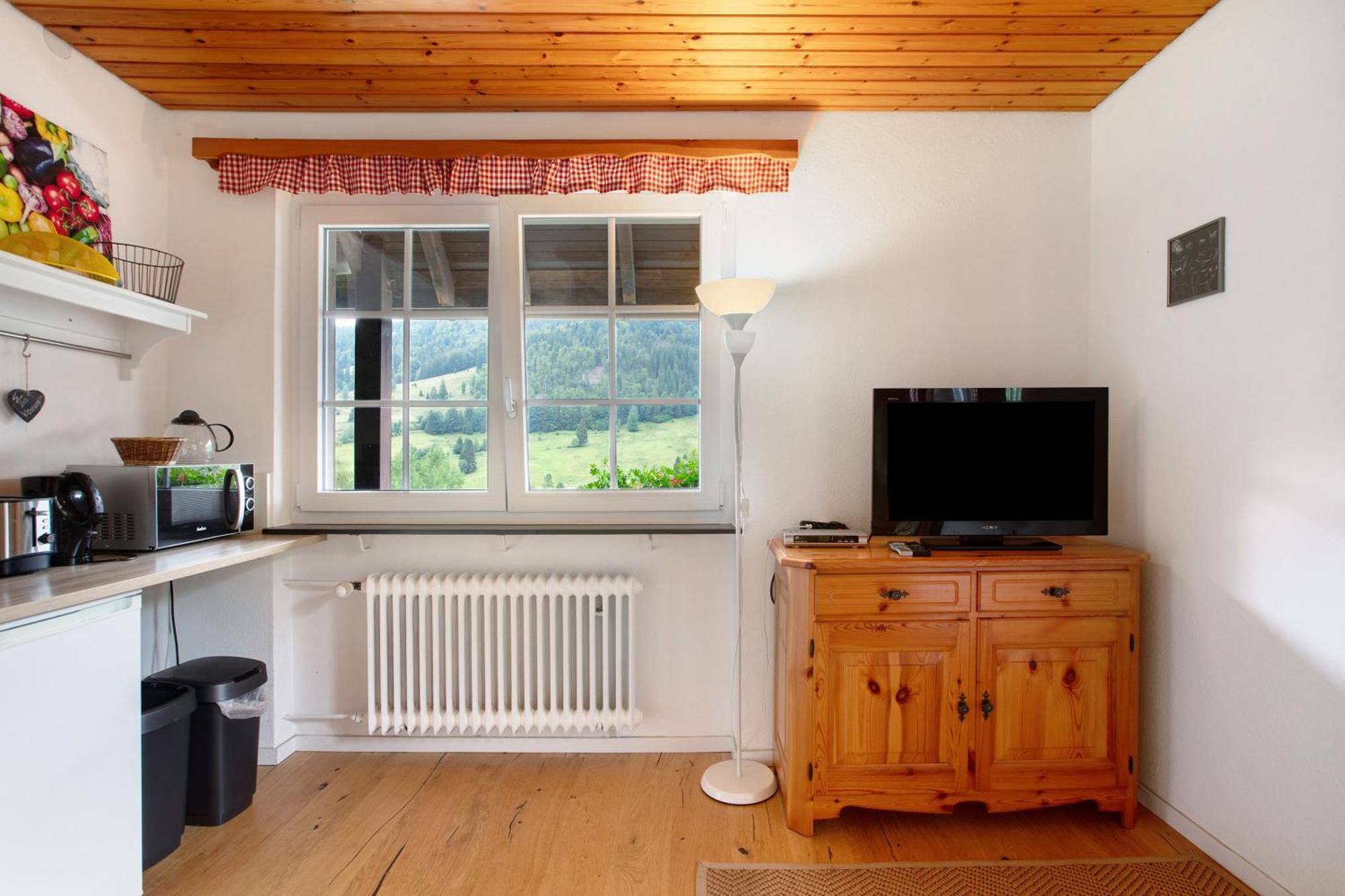 Apartment Familien- Und Sportappartements Wetzel Menzenschwand-Hinterdorf