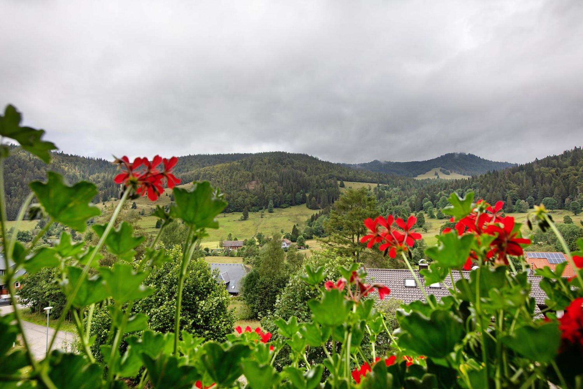 Familien- Und Sportappartements Wetzel * Menzenschwand-Hinterdorf