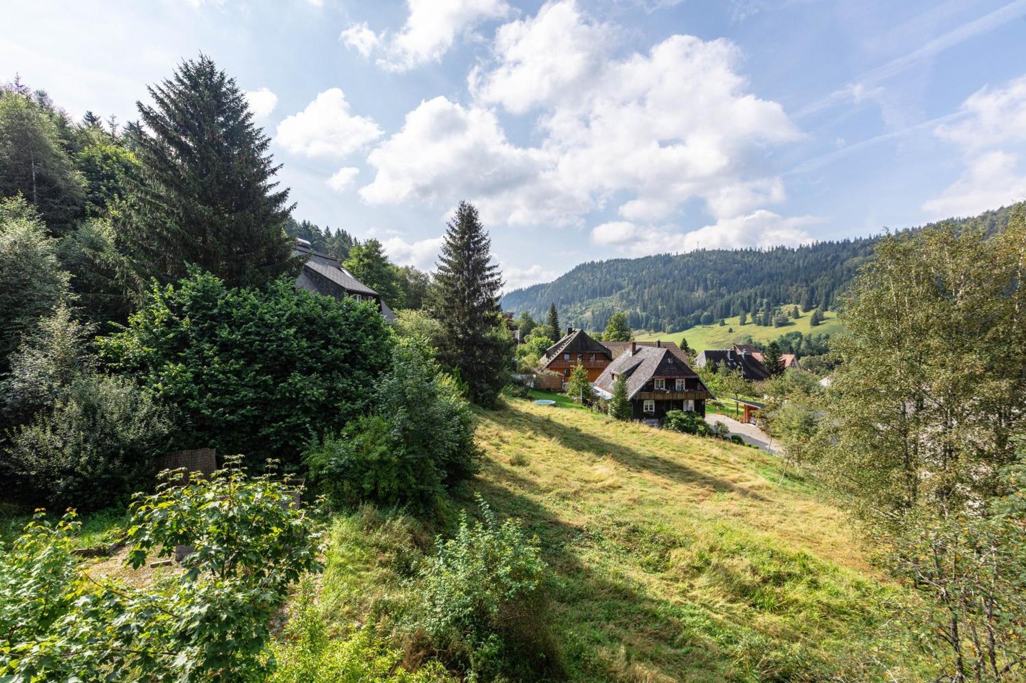 Familien- Und Sportappartements Wetzel Menzenschwand-Hinterdorf